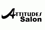 Attitudes Salon