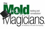 Mold Magicians