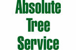 Absolute Tree Service