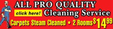 More Info for All Pro Quality Cleaning Services