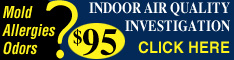 Visit Website for Silver Star Services