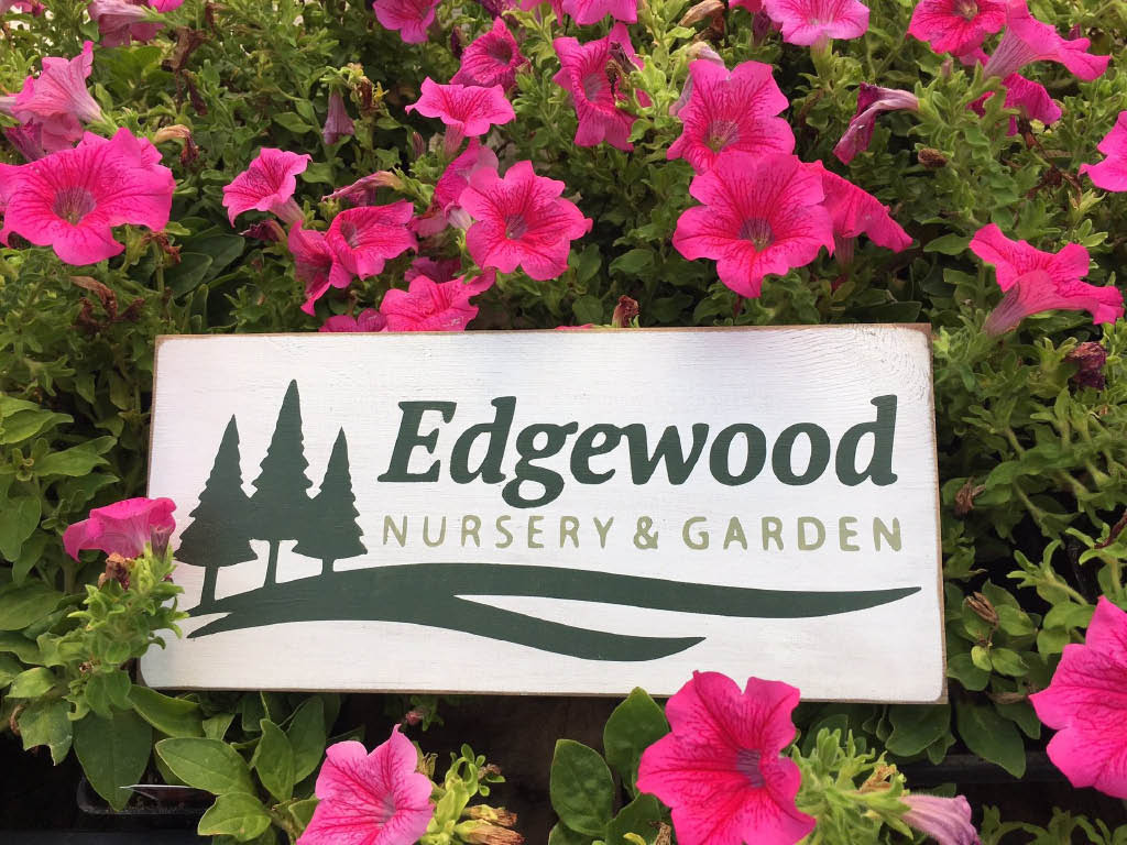 Edgewood Nursery Garden In Edgewood Wa Local Coupons April 2020