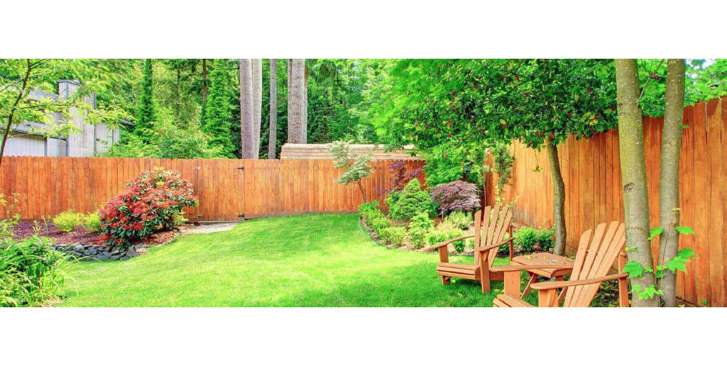 Monster Tree Service Coupon Tree Trimming &amp; Removal