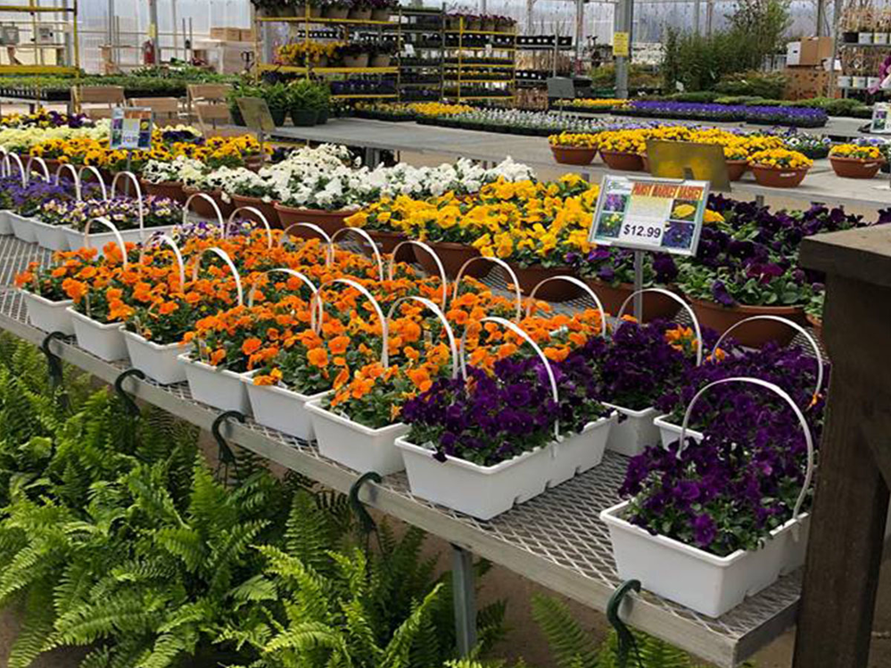 Straders Garden Centers In Columbus OH Local Coupons May 2019