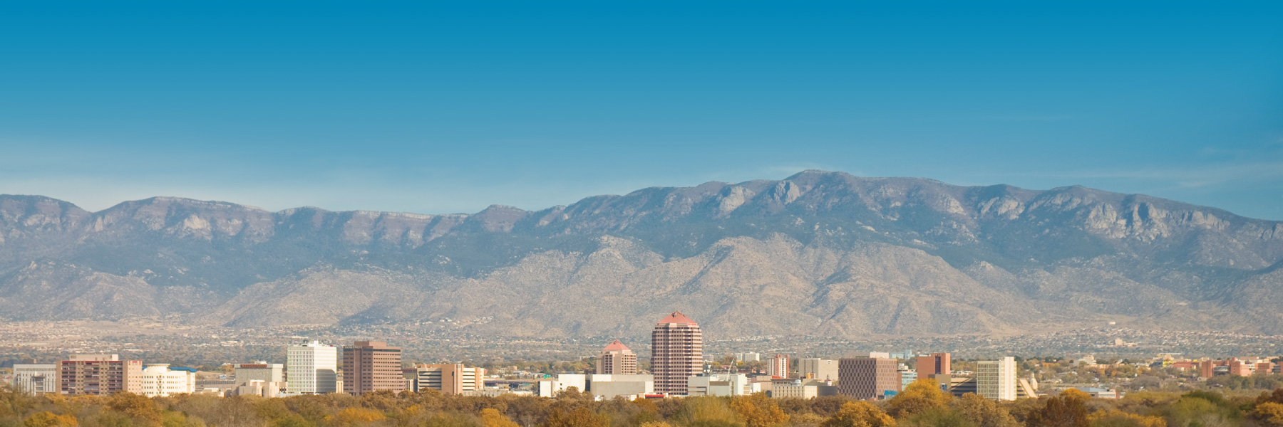 Digital Marketing Agency in Albuquerque, NM
