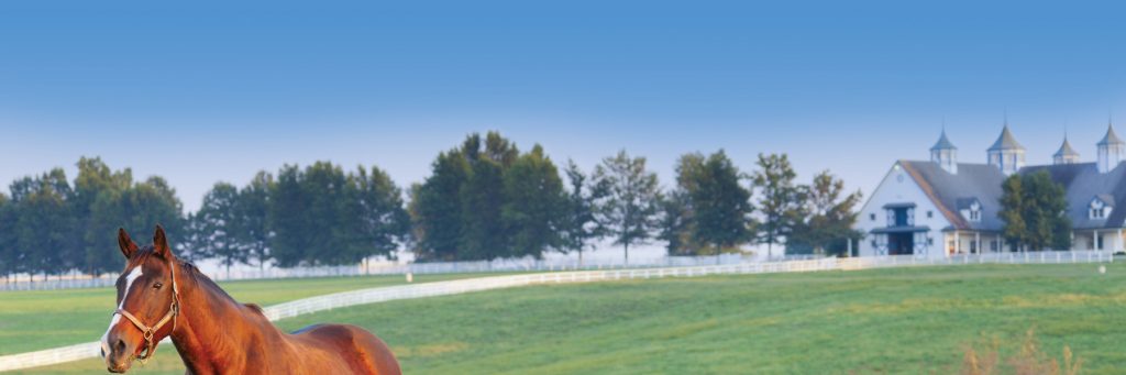 lexington-advertising-marketing