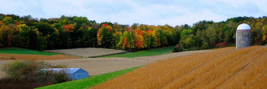 eau claire wi advertising and marketing