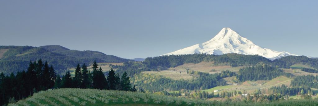 medford-advertising-marketing