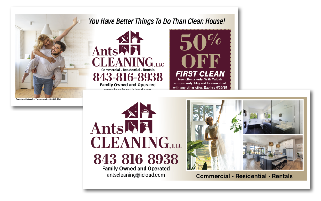 image of ants cleaning company
